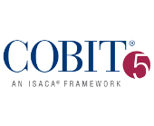 formation cobit