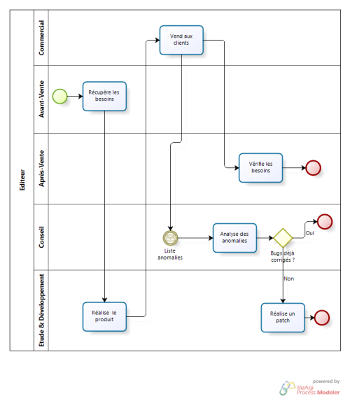 formation bizagui